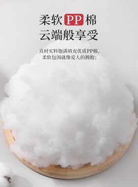 耐朴懒人沙发单人学生寝s室宿舍电脑椅家用靠背躺椅阳台休闲懒人