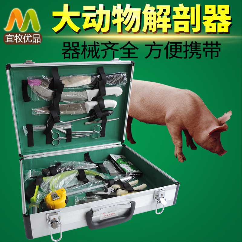 速发新品手术器械箱大动物解剖器套装猪牛羊动物解剖斧子弯刀工具