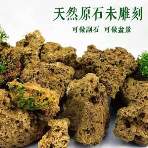 小众高货天然吸水石原石假山盆景造景石毛料菖蒲石斛附石抱石景观
