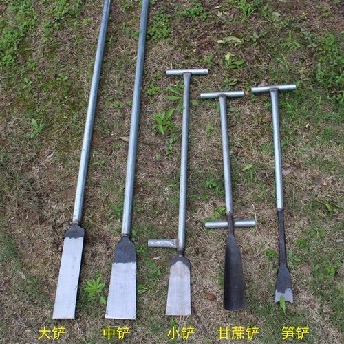 锻打弹簧钢树铲挖洞铲移植钢锹挖锄起苗器树锹农用挖树根工具