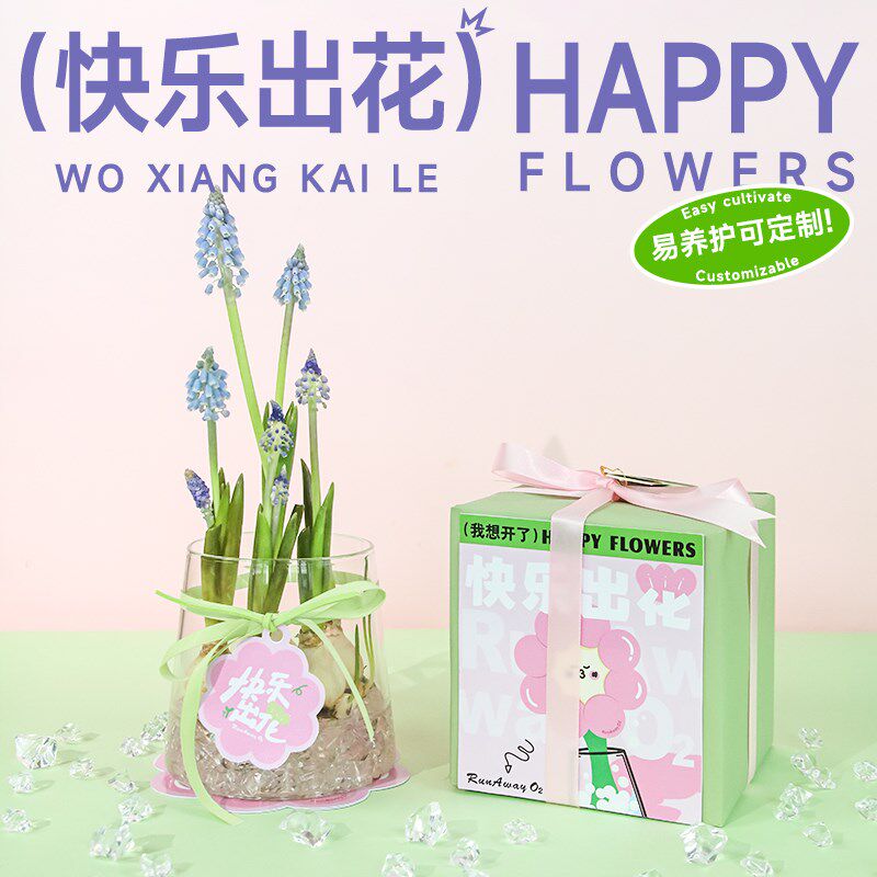 失控绿氧 创意郁金香水培种球办公室桌面风信子盆栽绿植花卉礼物