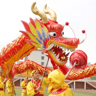 高档国标9节龙烫金龙龙头服装 B舞龙灯灯光龙钢丝龙绸布龙舞龙