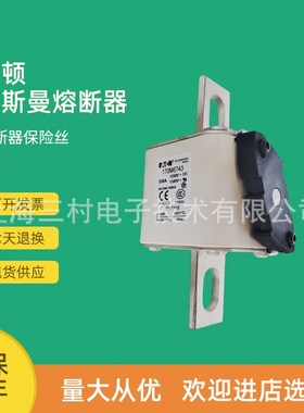 全新原装快速熔断器保险丝170M6740 170M6741 170M6742 170M6743