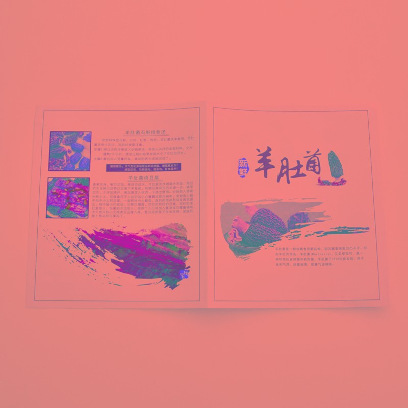 空盒新款高档羊肚菌包装盒250克半斤羊肚菌礼品盒干货木盒包装盒