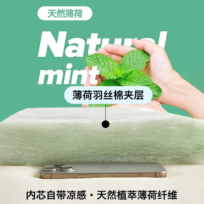 现货夏季冰凉隔脏床垫床褥垫被褥子E铺底软垫租房专用家用夏天冰