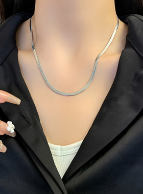 高级感简约金色蛇骨项链女ins小众冷淡风锁骨链轻奢时尚配饰