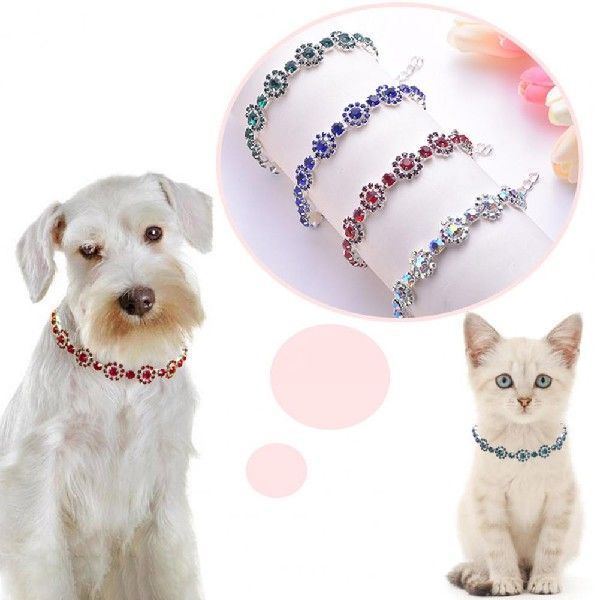 推荐Stylish Pet Collar Brass Cat Necklace Eye-catching Color