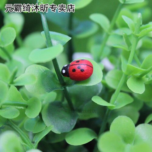 50pcs Mini Wooden Ladybug Miniatures Garden Decoration Self