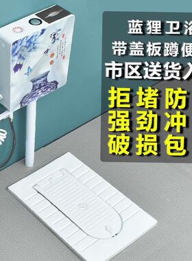 卫浴带盖板蹲便器一体翻盖式蹲厕所加盖蹲坑式便池家用卫生间便盆