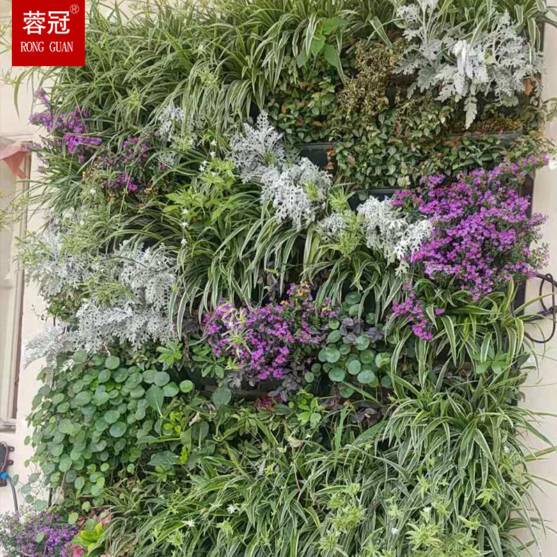 垂直绿化植物墙绿植真植r物架子挂壁室外景观工程花盆生态自动灌