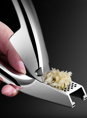 304 Stainless Steel Garlic Press, Detachable Garlic Presser