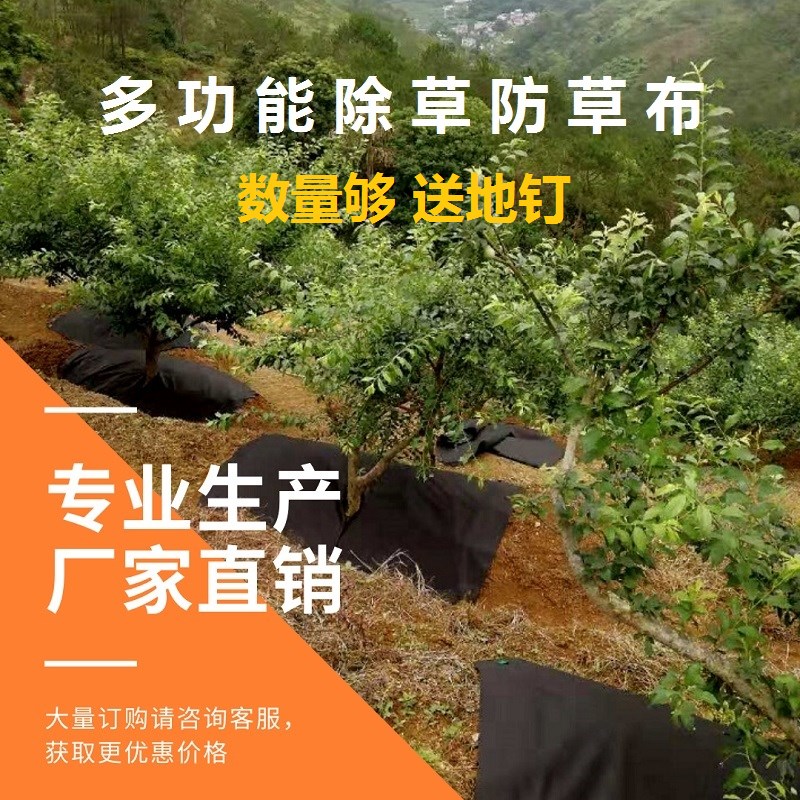 裁片新型生态防草布除草布果园果树保肥保湿渗水无纺地布农用薄膜