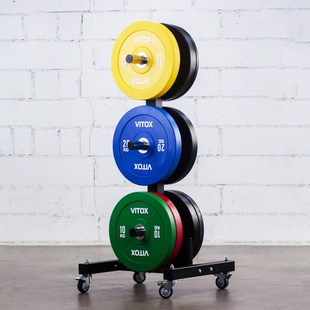 商用可移动杠铃片储存架大孔杠铃杆奥杆卧推杆深蹲硬拉练臂肌存放