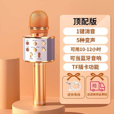 推荐Wireless Karaoke Microphone Bluetooth Handheld Portable