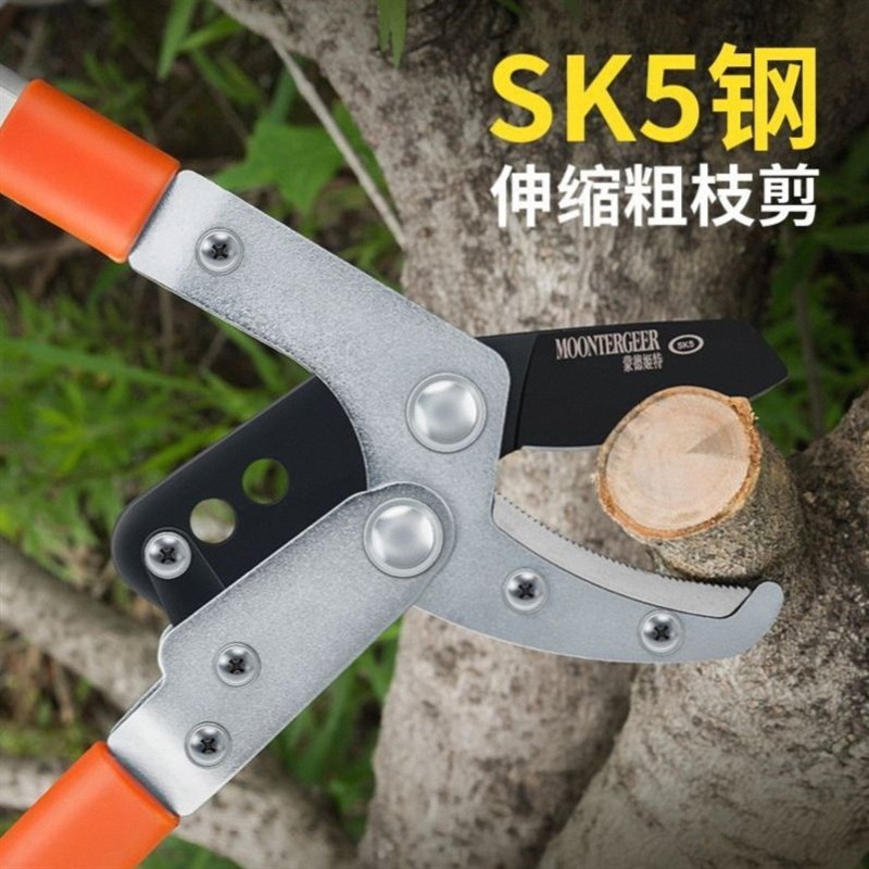 高枝剪园林大剪刀省n力强力粗枝剪树枝剪刀果树园艺剪刀伸缩大力
