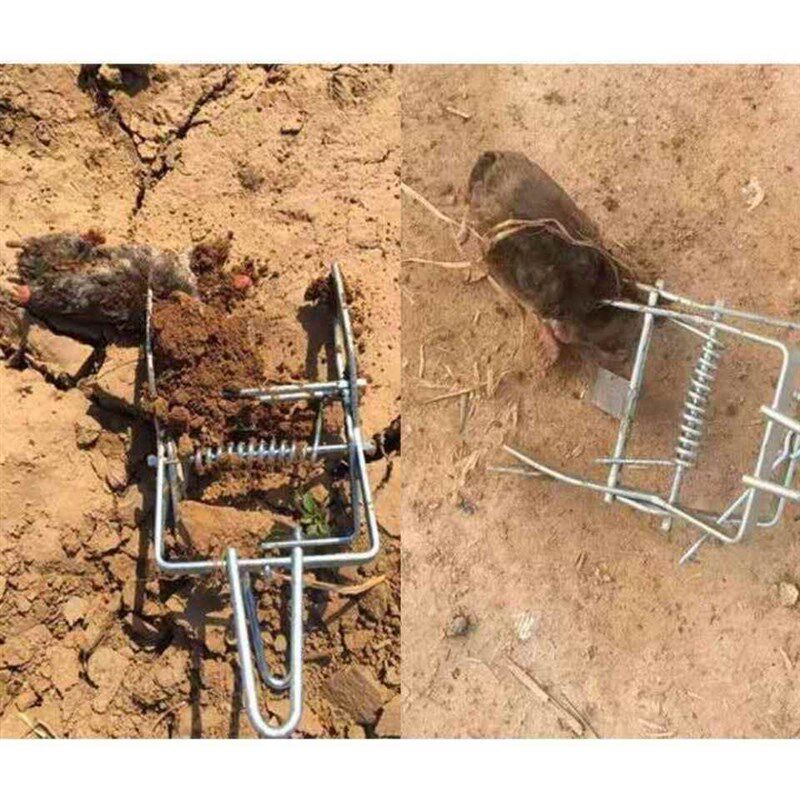 夹子野兽鼹鼠夹地鼠捕捉器地爬子捕鼠器瞎耗子捕鼠夹捕鼠用品老鼠