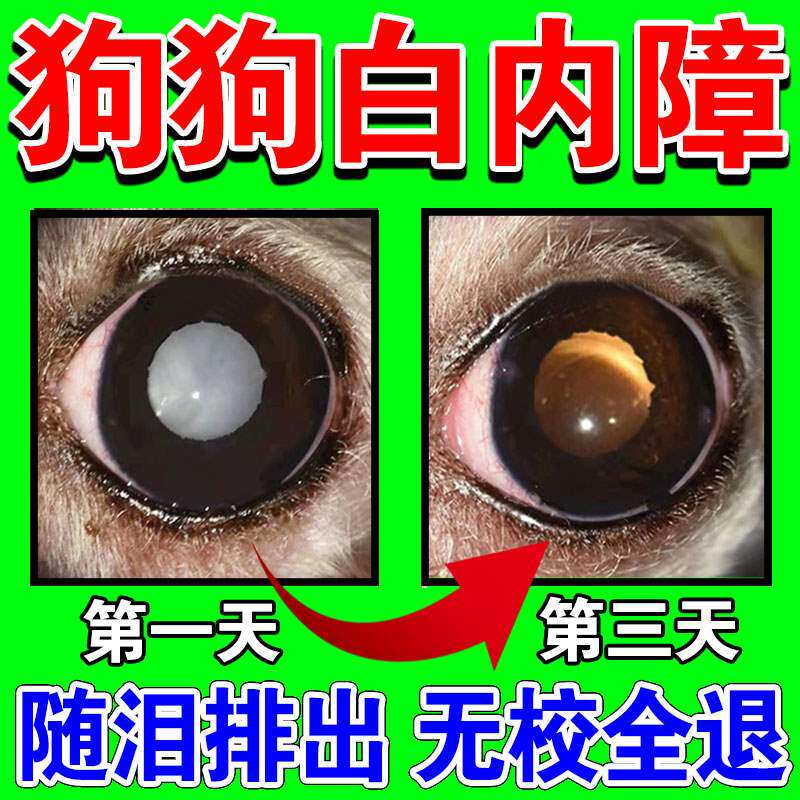 速发狗狗白内障滴眼液宠物猫咪老年犬初期角膜炎去眼屎泪痕专用眼