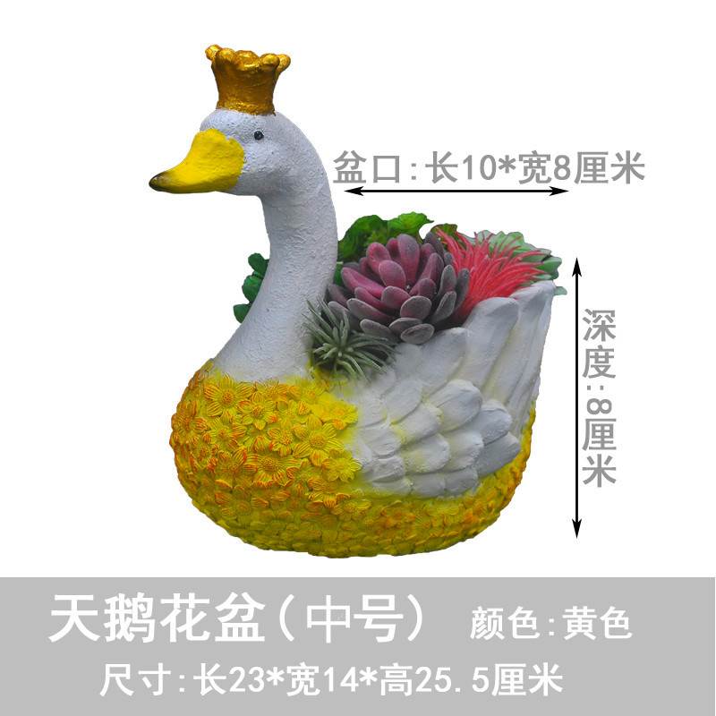 天鹅品多肉绿植大号花庭院阳台水池水喷泉景观hhtFMGzE小装饰盆户