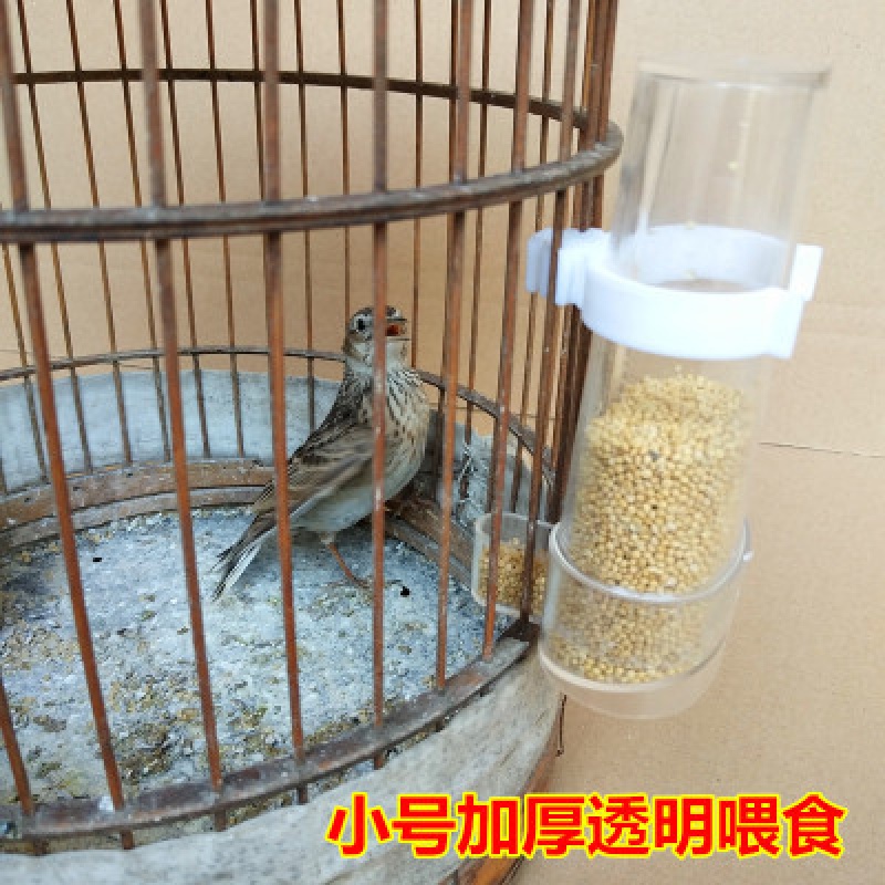 急速发货珍珠鸟用自动饮水器小鸟喝水器喂食器自动喂水器鸟类鹦鹉