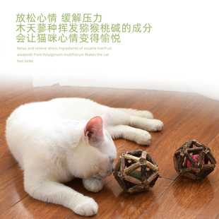 现货速发猫咪磨牙棒玩具猫啃咬猫猫小猫自嗨解闷神器木天蓼猫薄荷