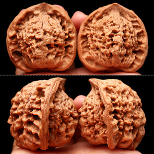 现货文玩核桃天然异形蛇头半壁鹰嘴王勇麒麟纹官R帽小众手盘把件