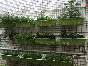 阳台铁艺花架悬挂式栏杆护栏墙上花篮架挂壁式窗台长方形花盆架u.