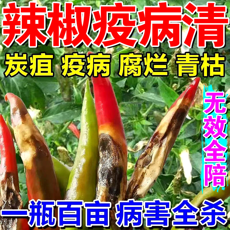 极速辣椒病毒病专用药辣椒疫病清卷叶黄叶病炭疽病杀菌剂特效专用