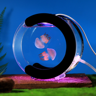 专用水母缸活物好养儿童养殖桌面小E宠物迷你懒人赤月循环带过滤