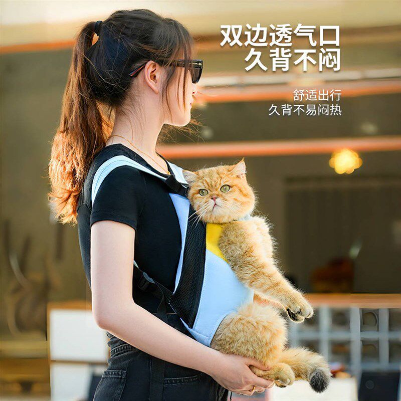 猫咪外出便携包宠物背包狗狗背带猫外出包夏天透气遛猫双肩包猫包