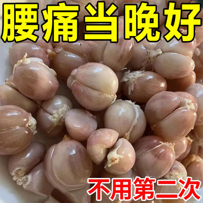 速发【100%根冶】腰椎突出专用膏药腰突出压迫神经腿麻腰肌劳损克