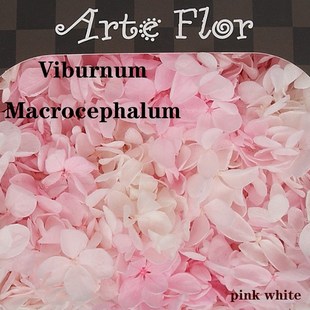 Dried Flower Dry Aromatherapy Hydrangea Plants Candle lot