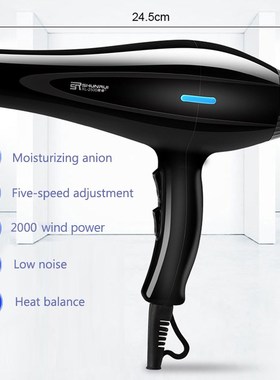 220V Hair Dryer Blow Air with Concentrator Nozzles Diffuser