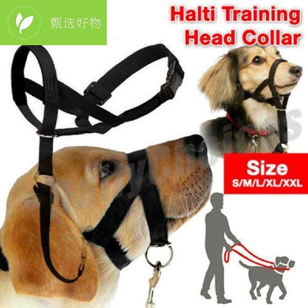 wNew illon Dog Muzzle DogalAter Dog Halter HaytN Trainin