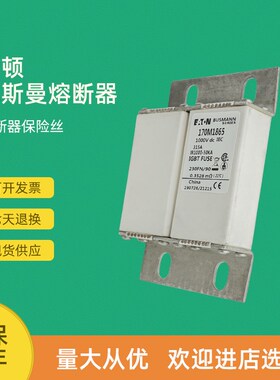 全新快速熔断器保险170M1865 170M1866 170M1867 170M1868