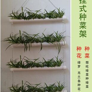 饰花架阳台种菜机花 挂式 种菜架吊兰架无土栽r培家庭菜园幼儿园装