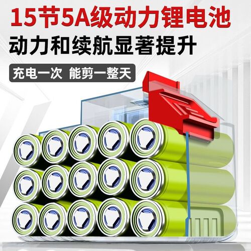 W德国进口电动剪k刀修枝剪刀果树充电式液晶无线锂电园艺园林粗枝