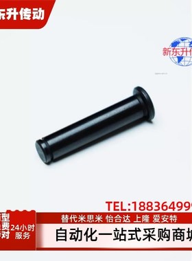 HCDG/SHCDG/HCDGH3/4/5/6/8/10/12-L10/12/14/15/16/18/20铰链销