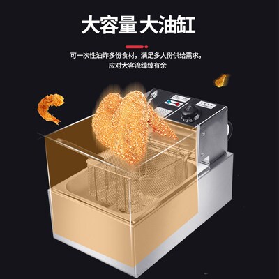 跨境电商专用110V/220V电t炸炉electric deep fryer油炸锅美欧日
