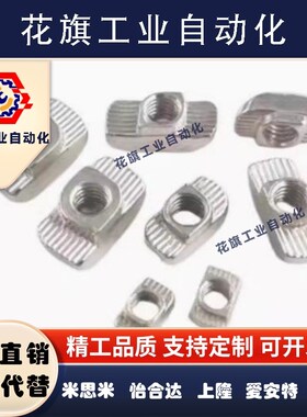 AHC21-206/308/408/4010/G306/G408-M4/M5/M6/M8替怡合达T型螺母