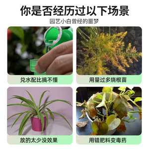 速发免稀释营养液植物通用型花肥发财树绿萝水培盆栽家用花卉养花