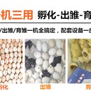 智能水床孵化机家用型鸡鸭鹅v孵化器44枚小型90枚卵蛋箱全自动控