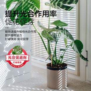 植物活力素浓缩营养液养花生长素生根液家用盆栽通用花卉多肉肥料