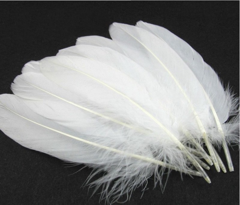 热销50pcs White Beautiful Large Goose Feathers 15-22cm / 5.9图片
