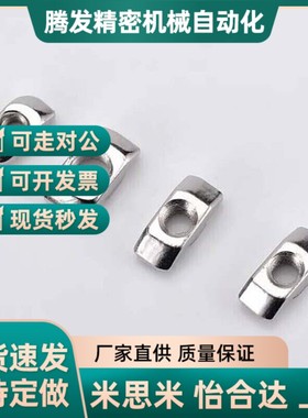 替代T型螺母LNTN6/8/10-20/30/40/45-3/4/5/6/8-100P欧标铝型材专