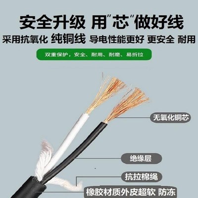 插头线2芯角磨机切割手磨电钻二脚带纯铜电线电动工具电源线软线