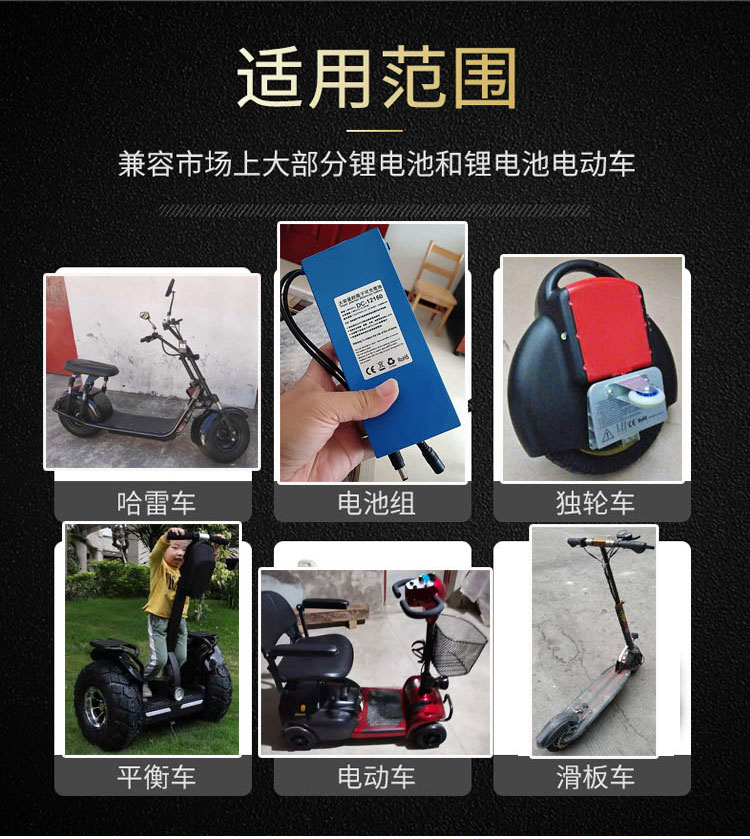 24V36V42V48V54.6通用y电动滑板希洛普哈雷成人滑板车代驾锂电池