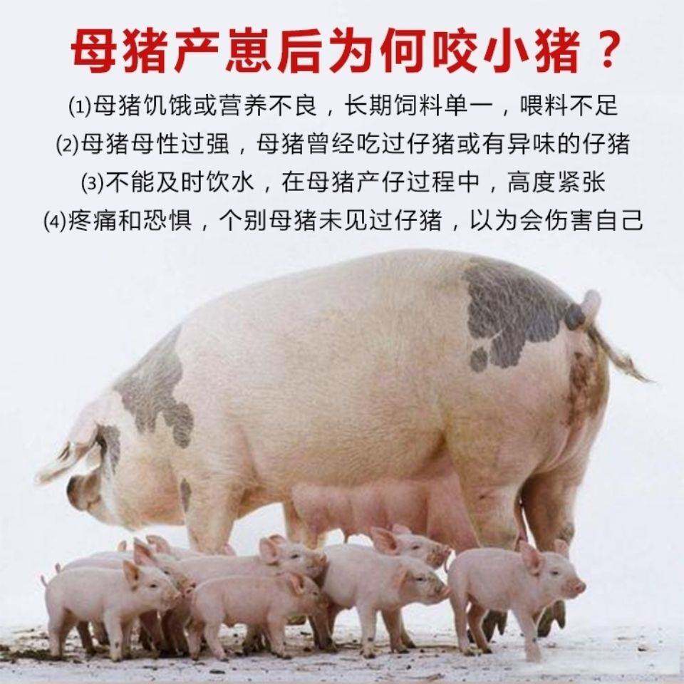 猪嘴笼套猪嘴母猪k嘴套防咬套小猪崽猪防咬保护仔猪马牛羊防吃东
