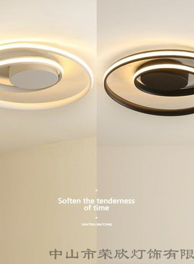 跨境新款北欧卧室吸顶灯 ledz简约现代客厅灯圆形个性创意吸顶灯