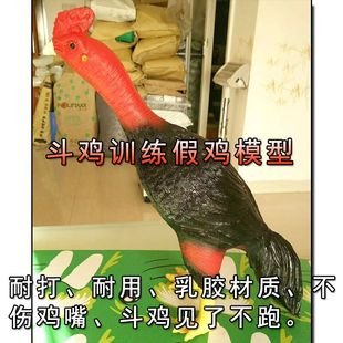 斗鸡 斗鸡用品 斗鸡训练用品 斗鸡模型 斗鸡比赛模型鸡斗鸡 假鸡