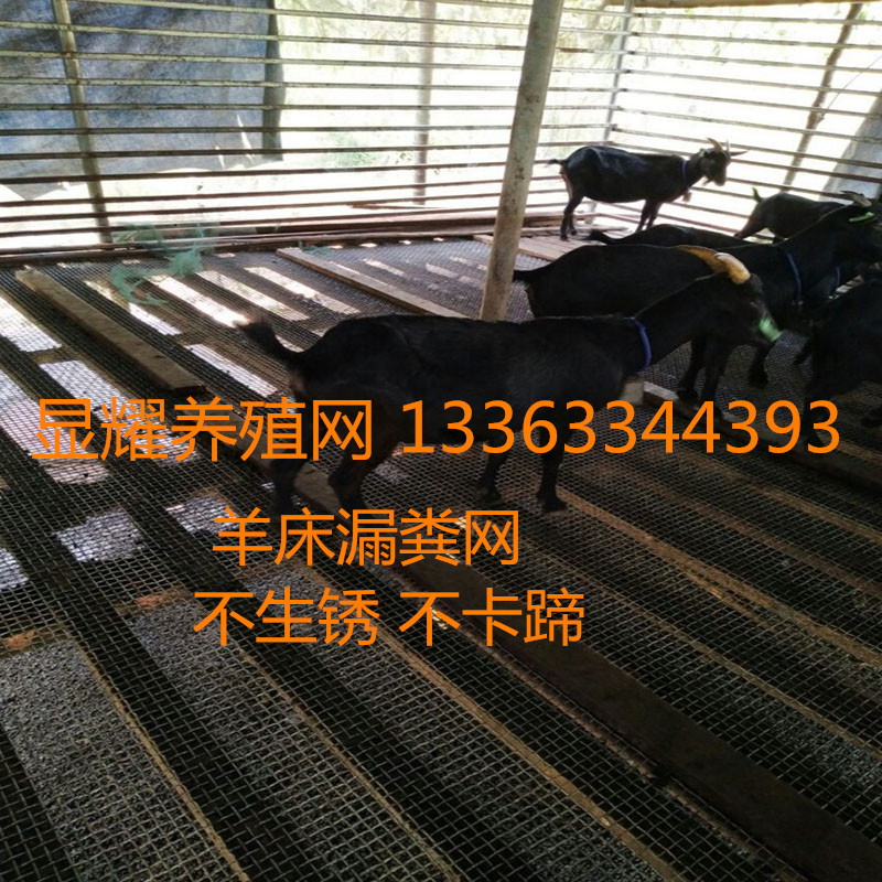 热销养羊钢网钢丝铁丝网羊床网羊场养殖器械设备鸡鸭鹅网养羊漏粪